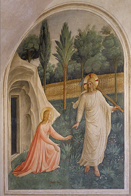 Touch Me Not (cell 1)